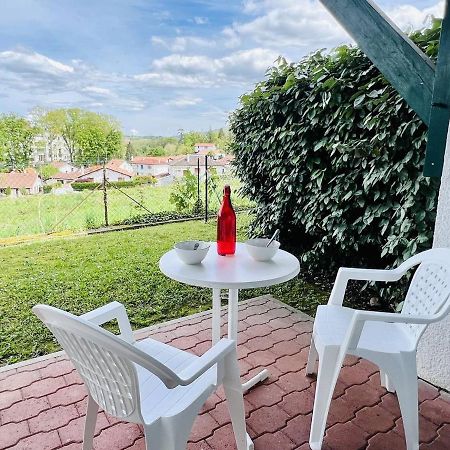 Studio Eglantine A Cambo-Les-Bains, Proche Thermes, Terrasse, Parking, Acces Internet, Animaux Ok - Fr-1-495-106 Εξωτερικό φωτογραφία